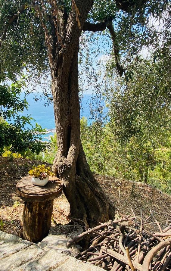“Da Senso” Relax nel verde vista mare Finale Ligure Buitenkant foto